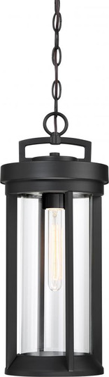 Huron - 1 Light Hanging Lantern with Clear Glass - Aged Bronze Finish (81|60/6504)