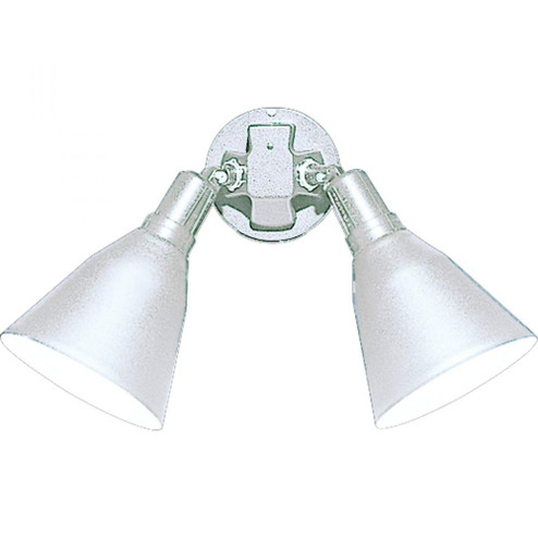 Two-Light Adjustable Swivel Flood Light (149|P5203-30)