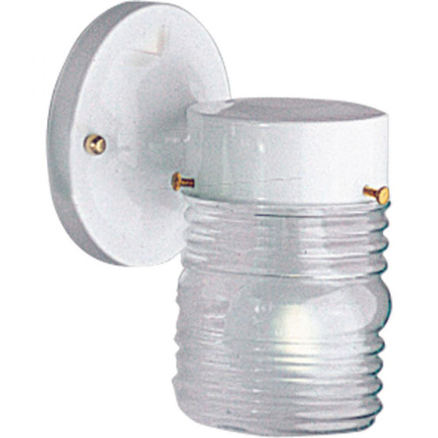 One-Light Utility Wall Lantern (149|P5602-30)