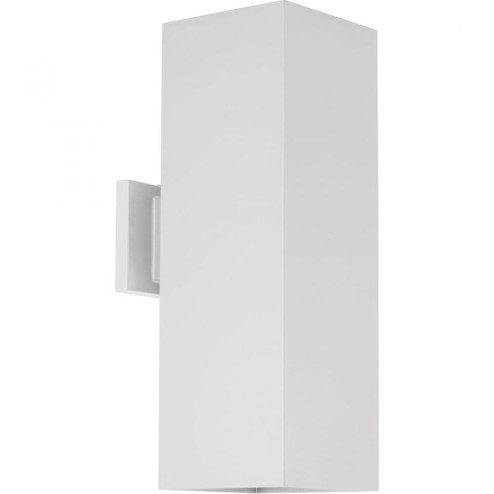 P5644-30 2-250W QPAR-38 OD WALL (149|P5644-30)