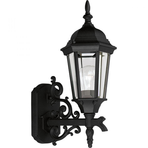 Welbourne One-Light Small Wall Lantern (149|P5681-31)