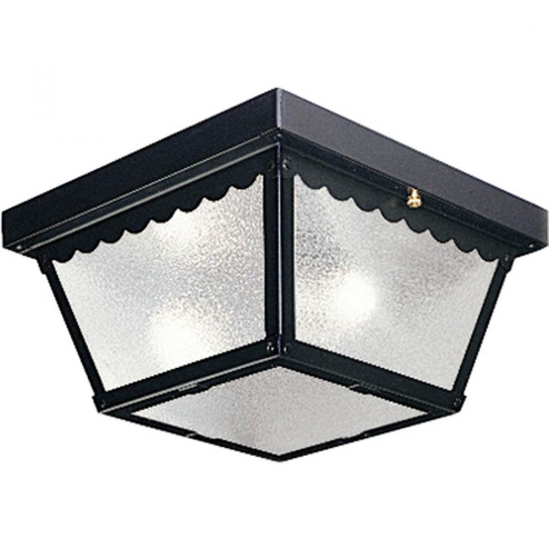P5729-31 2-60W MED CTC CAR PORT (149|P5729-31)