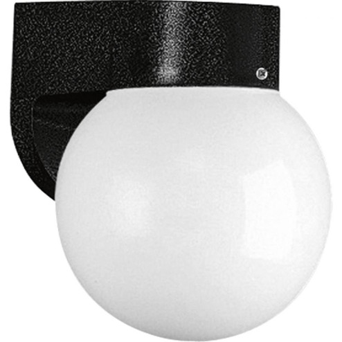 Non-Metallic Incandescent One-Light Outdoor Wall Lantern (149|P5813-31)