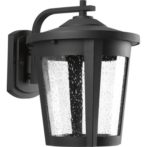East Haven Collection One-Light Large LED Wall Lantern (149|P6079-3130K9)