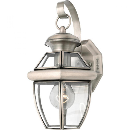 Newbury Outdoor Lantern (26|NY8315P)