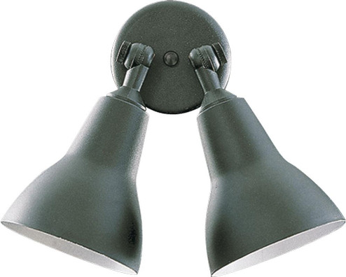 2LT PAR LAMP FLOODLGT-BK (83|690-2-15)