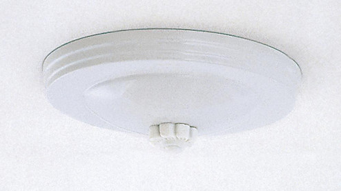 Blank Up Canopy Kit; White Finish (27|S70/045)