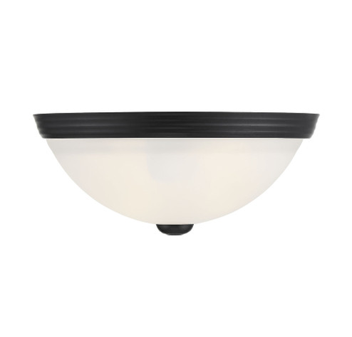 2-Light Ceiling Light in Matte Black (128|6-780-11-BK)