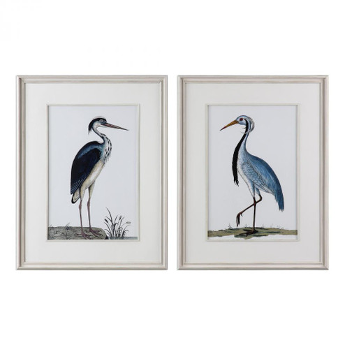 Uttermost Shore Birds Framed Prints Set/2 (85|33668)