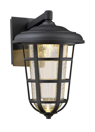 Triton 9'' LED Wall Lantern (21|LED33911-BK)