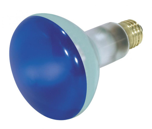 75 Watt BR30 Incandescent; Blue; 2000 Average rated hours; Medium base; 130 Volt (27|S3228)