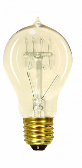 25 Watt A19 Incandescent; Clear; 3000 Average rated hours; 100 Lumens; Medium base; 120 Volt (27|S2411)