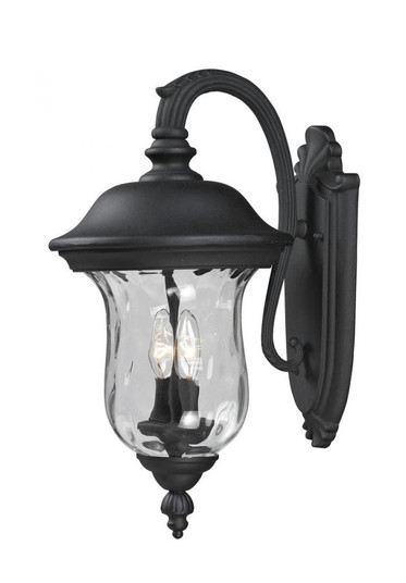 2 Light Outdoor Wall Light (276|534M-BK)