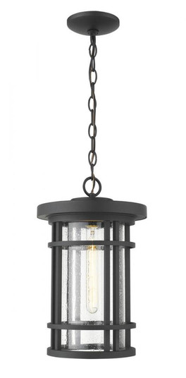 1 Light Outdoor Chain Mount Ceiling Fixture (276|570CHB-BK)