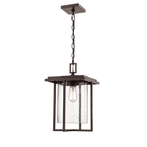 Outdoor Hanging Lantern (670|2625-PBZ)