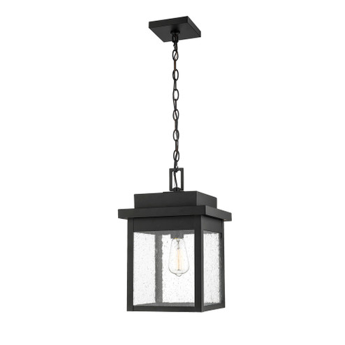 Belle Chasse 1-Light Outdoor Hanging Lantern Powder Coated Black (670|2665-PBK)