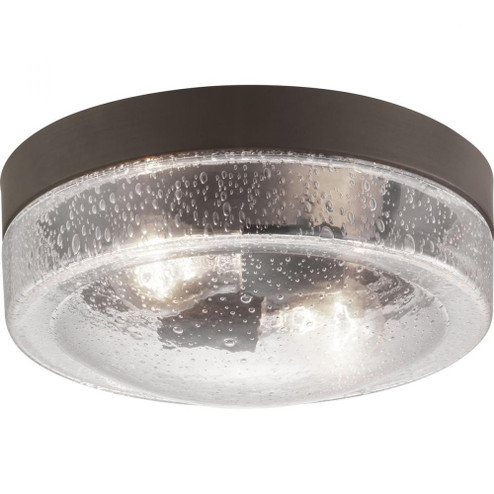 P550042-129 2-60W MED FLUSH MOUNT (149|P550042-129)