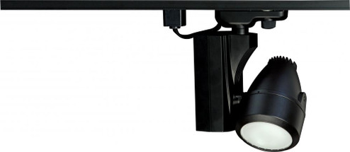 Metal Halide Track Head Black (1) PAR30 Long Neck 70W/MH/ Medium Base (81|TH386)