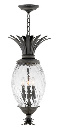 Large Hanging Lantern (87|2122MB)