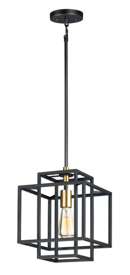 Liner-Single Pendant (19|10246BKSBR)