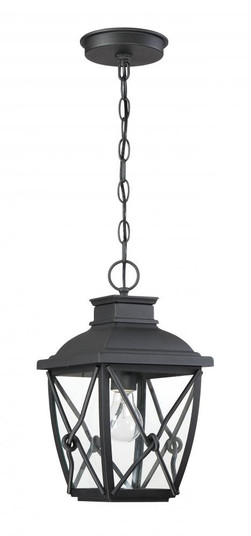 Belmont 1 Light Outdoor Hanging Lantern (21|34834-BK)