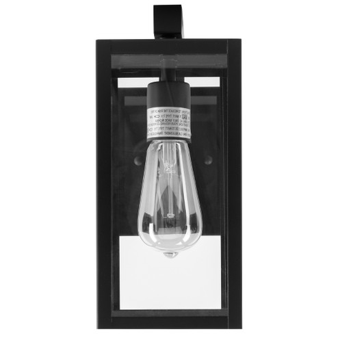 Capture Outdoor Wall Sconce (148|1185-MB-CL)