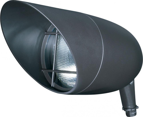 1 Light - Landscape Flood - PAR38 Flood - Dark Bronze Finish (81|SF76/648)
