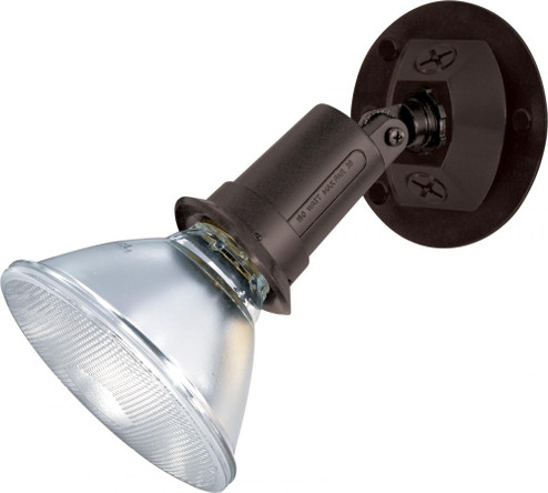 1 Light - 5'' Flood Light- PAR38 with Adjustable Swivel - Bronze Finish (81|SF76/521)