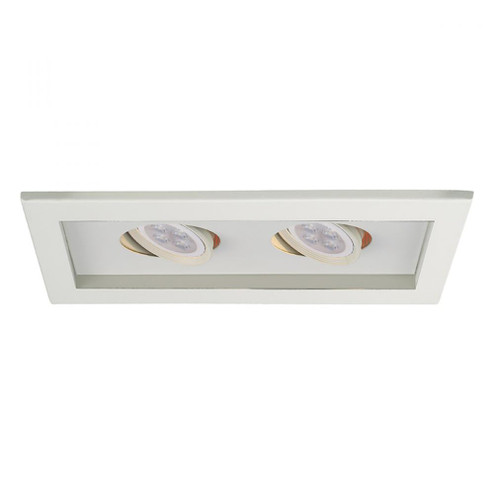 LED MULTI SPOT 2 LGT (16|MT-216LED-WT/WT)