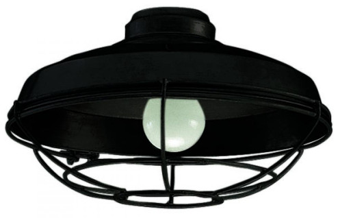 1 Light Wire Cage Light Kit in Flat Black (20|LK984FB)