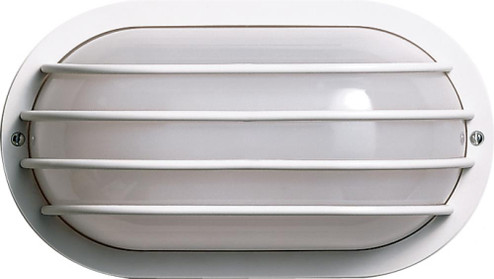1 Light - 10'' Oval Cage Polysynthetic Body and Lens - White Finish (81|SF77/858)