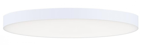 Trim-Flush Mount (19|57664WTWT)