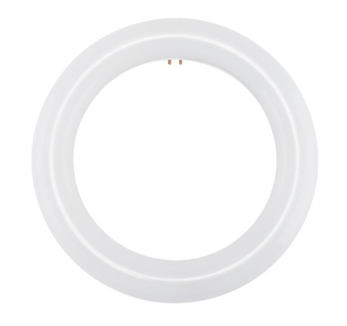 LED Circline; 11 Watt; T9; 6500K; G10Q Base; 120-277 Volt; Type B; Ballast Bypass (27|S16502)