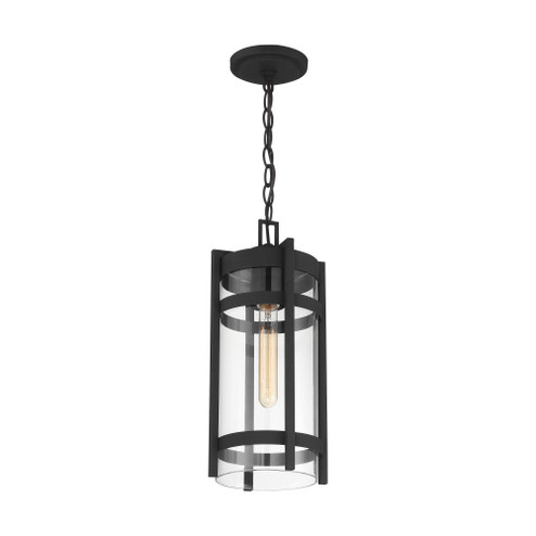 Tofino - 1 Light Hanging Lantern- Clear Glass - Textured Black Finish (81|60/6574)