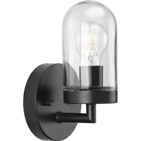 Signal Collection One-Light Graphite Clear Glass Coastal Bath Vanity Light (149|P300174-143)