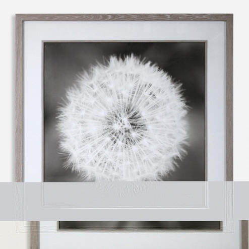 Uttermost Dandelion Seedhead Framed Print (85|33711)