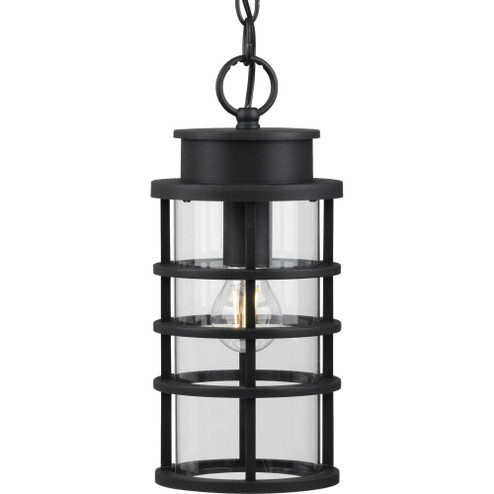 Port Royal Collection One-Light Hanging Lantern with DURASHIELD (149|P550061-031)