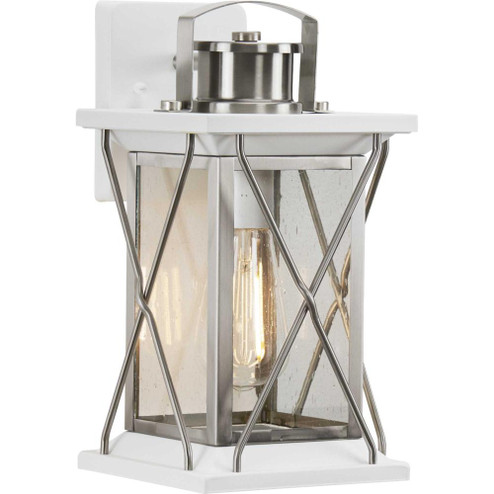 Barlowe Collection Stainless Steel One-Light Small Wall Lantern (149|P560156-135)