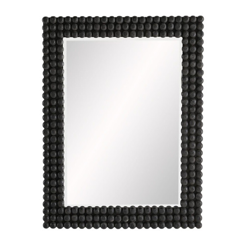 Paxton Mirror (314|4616)