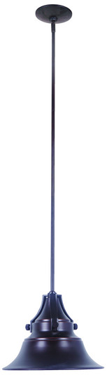 Union 1 Light Small Outdoor Pendant in Oiled Bronze Gilded (20|Z4401-OBG)