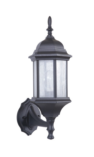 Hex Style Cast 1 Light Medium Outdoor Wall Mount in Matte Black (Clear Seeded Glass) (20|Z290-TB-CS)