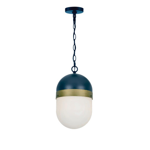 Brian Patrick Flynn Capsule 1 Light Matte Black + Textured Gold Outdoor Pendant (205|CAP-8507-MK-TG)