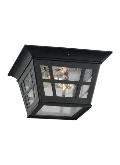 Herrington transitional 2-light outdoor exterior ceiling flush mount in black finish with clear seed (38|78131-12)