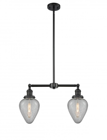 Geneseo - 2 Light - 21 inch - Matte Black - Stem Hung - Adjustable Island Light (3442|209-BK-G165-LED)