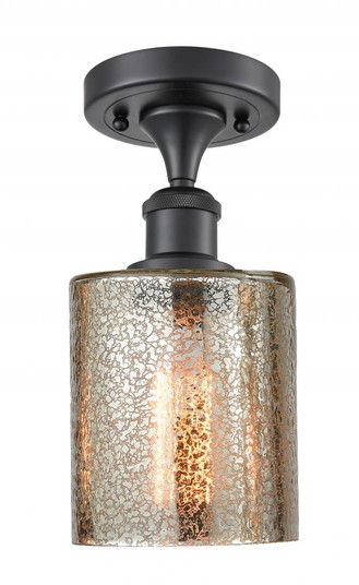 Cobbleskill - 1 Light - 5 inch - Matte Black - Semi-Flush Mount (3442|516-1C-BK-G116)