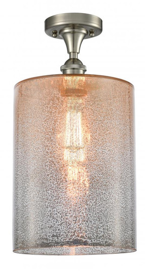 Cobbleskill - 1 Light - 9 inch - Brushed Satin Nickel - Semi-Flush Mount (3442|516-1C-SN-G116-L-LED)