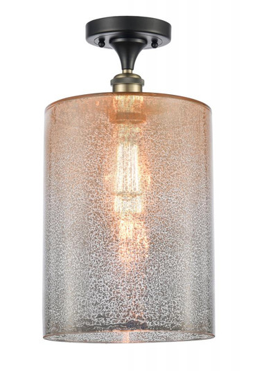 Cobbleskill - 1 Light - 9 inch - Black Antique Brass - Semi-Flush Mount (3442|516-1C-BAB-G116-L)
