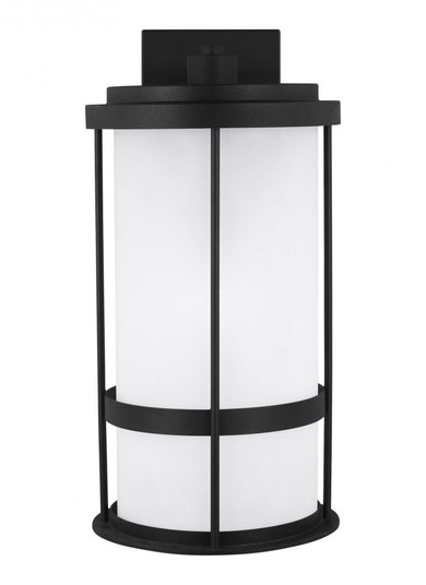 Wilburn modern 1-light outdoor exterior Dark Sky compliant large wall lantern sconce in black finish (38|8790901D-12)
