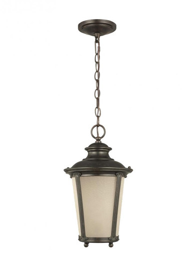 Cape May traditional 1-light LED outdoor exterior hanging ceiling pendant in burled iron grey finish (38|62240EN3-780)
