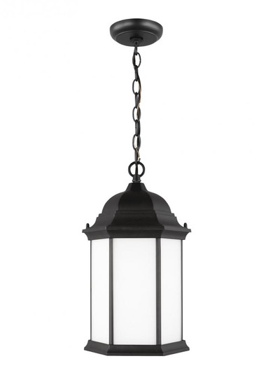 Sevier traditional 1-light LED outdoor exterior ceiling hanging pendant in black finish with satin e (38|6238751EN3-12)